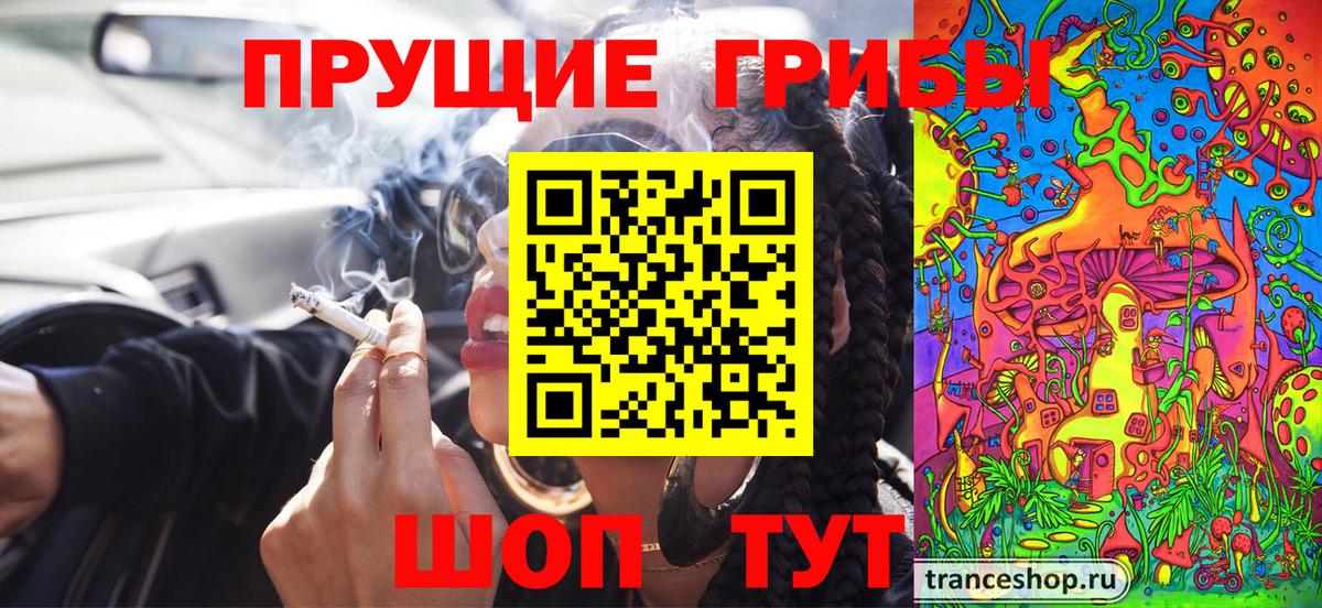 Галлюциногенные грибы Psilocybe Владивосток